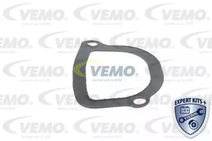 vemo-v24990013