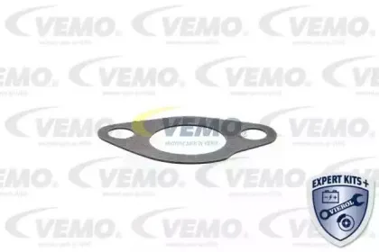 vemo-v24990035
