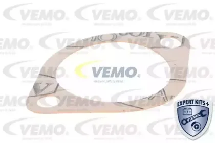 vemo-v24990036