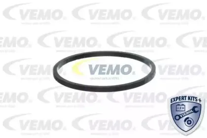 vemo-v24991259