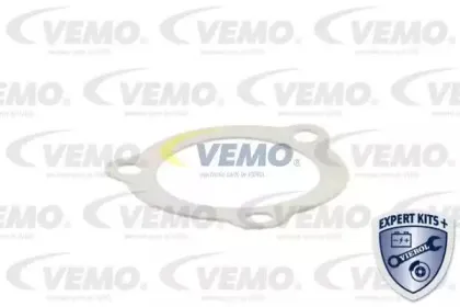 vemo-v24991261