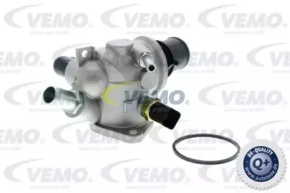 vemo-v24991262