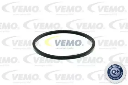 vemo-v24991262