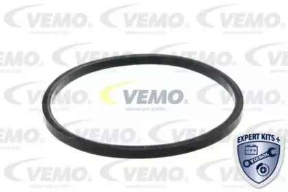 vemo-v24991264