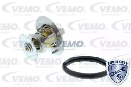 vemo-v25991705