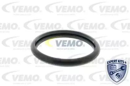 vemo-v25991705