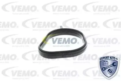 vemo-v25991706