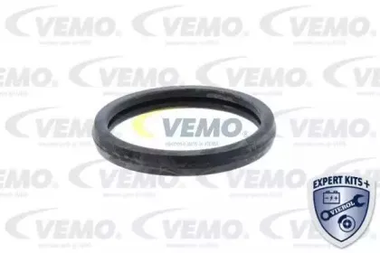 vemo-v25991708