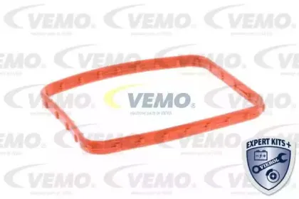 vemo-v25991712