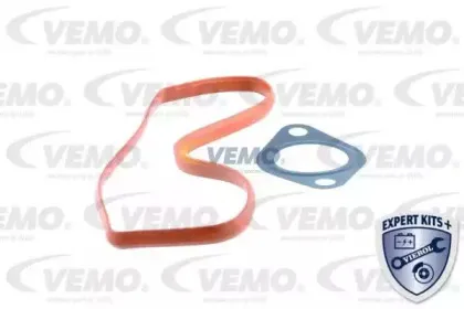 vemo-v30630010