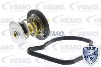vemo-v309901021