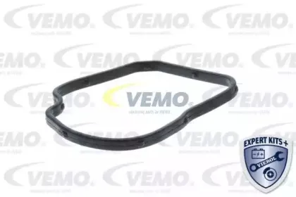 vemo-v309901021