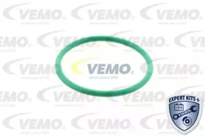 vemo-v40630020