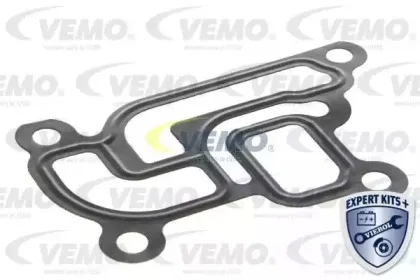 vemo-v40630021