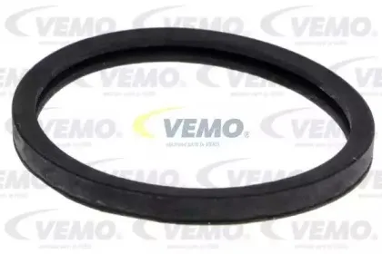 vemo-v409900171