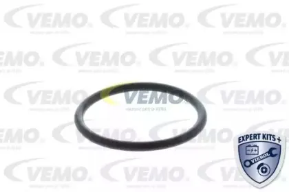 vemo-v46991360