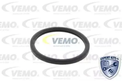 vemo-v46991361