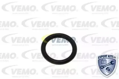 vemo-v46991367