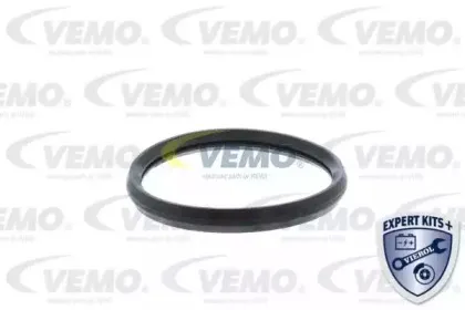 vemo-v46991374