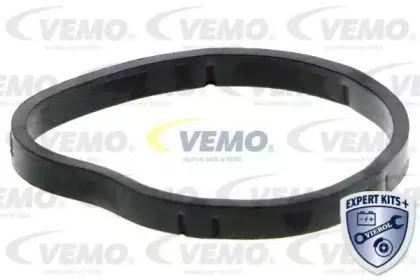 vemo-v46991390