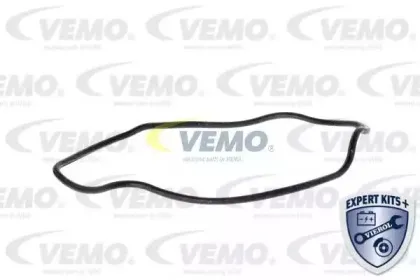 vemo-v51990002