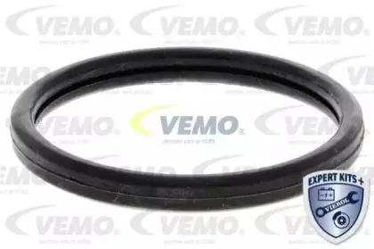 vemo-v55990002