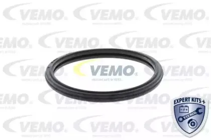 vemo-v64990009