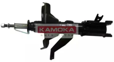 20331743 KAMOKA