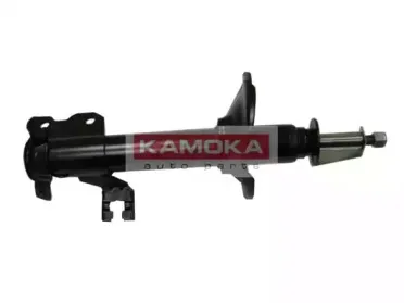 20333038 KAMOKA