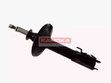 20333039 KAMOKA