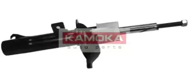 20333056 KAMOKA