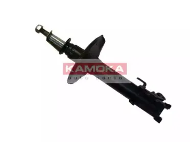 20333639 KAMOKA