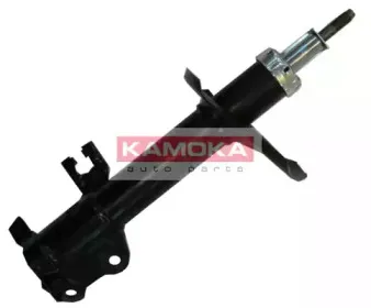 20333667N KAMOKA