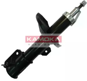 20333841 KAMOKA
