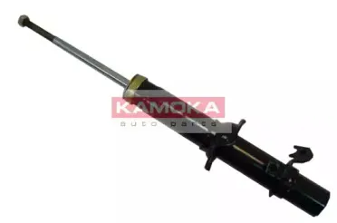 20341043 KAMOKA