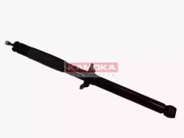 20341229 KAMOKA