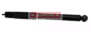 20553043 KAMOKA