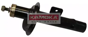 20633173 KAMOKA