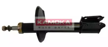 20633251 KAMOKA