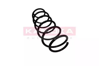 2110149 KAMOKA