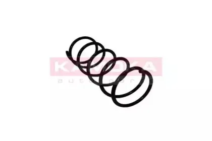 2110162 KAMOKA