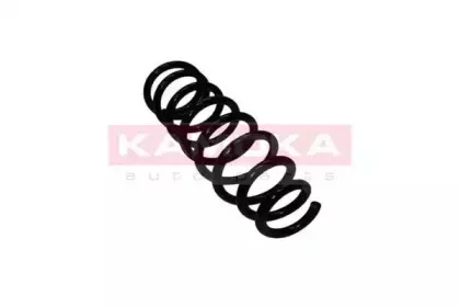 2110170 KAMOKA