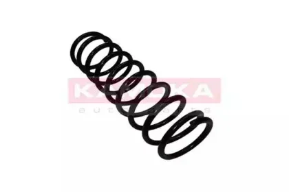 2120031 KAMOKA