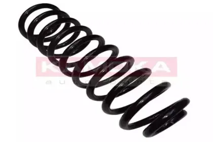 2120248 KAMOKA