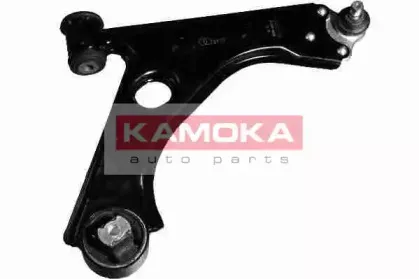 kamoka-9919275