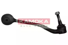 9921375 KAMOKA