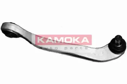 9937775 KAMOKA