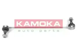 999863 KAMOKA