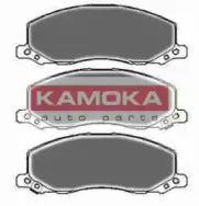 JQ101125 KAMOKA