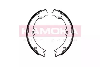 JQ212028 KAMOKA